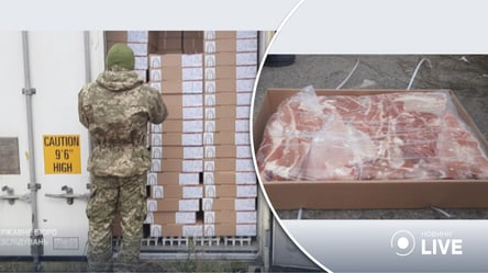 На Одесской таможне обнаружили 720 тонн замороженного мяса белорусского производства: что с ним будут делать - 285x160