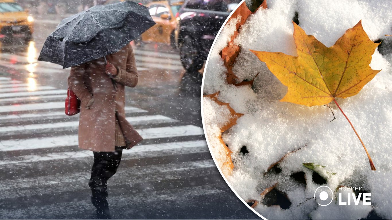 У Києві випав перший сніг — фото та відео
