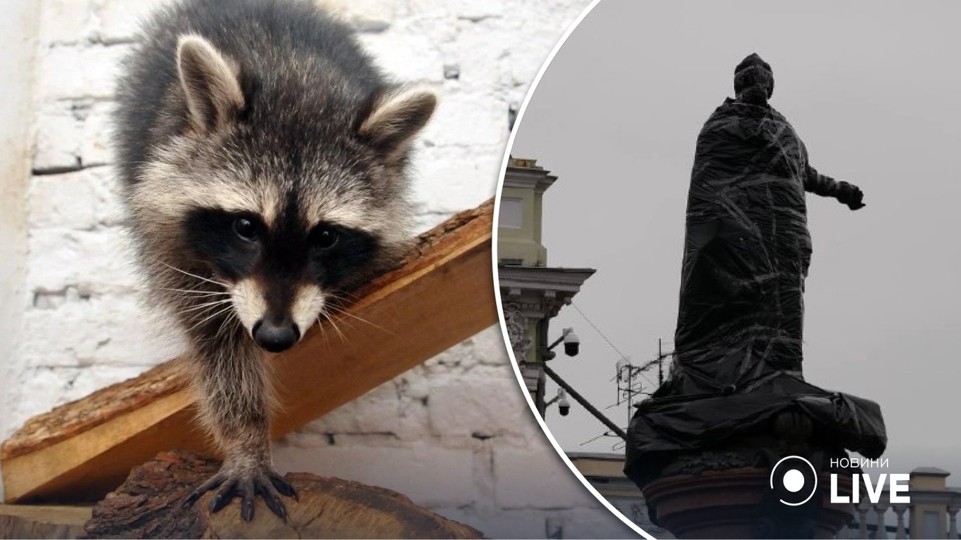 Одесситы предлагают обменять памятник Екатерине ІІ — на енота