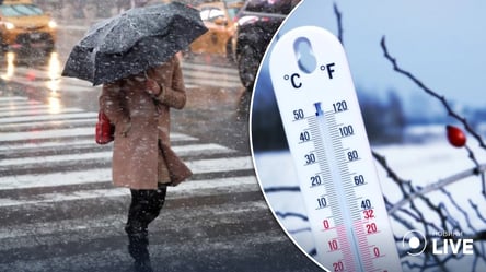 Снег, сильный ветер и мороз: народный синоптик сделала неутешительный прогноз погоды на субботу - 285x160