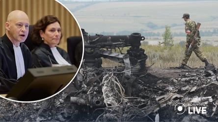 "Путін має сидіти на лаві підсудних": відомий американський журналіст про рішення суду щодо рейсу MH17 - 285x160