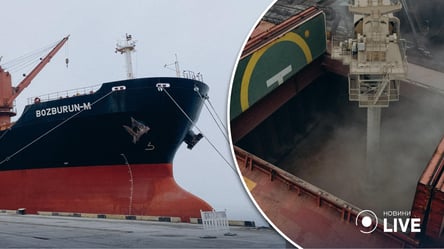 Из Одесского порта вышло восьмое зафрахтованное ООН судно с зерном для Эфиопии - 285x160