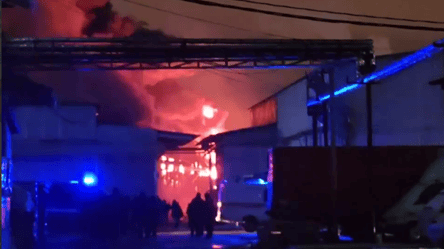 A large-scale fire broke out at a warehouse in Moscow — video - 285x160