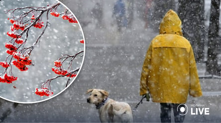 С дождем и мокрым снегом: синоптик рассказала, какой будет погода в Украине 21 ноября - 285x160