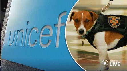 Пес Патрон отримав титул UNICEF "Пес доброї волі" - 285x160