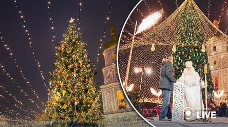 Сколько электроэнергии потребляет новогодняя елка в Киеве: сэкономит ли Украина - 285x160