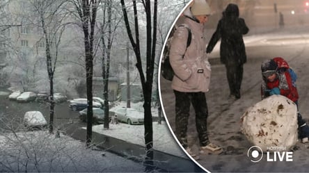 Снег и дождь: прогноз погоды на 29 ноября от Укргидрометеоцентра - 285x160