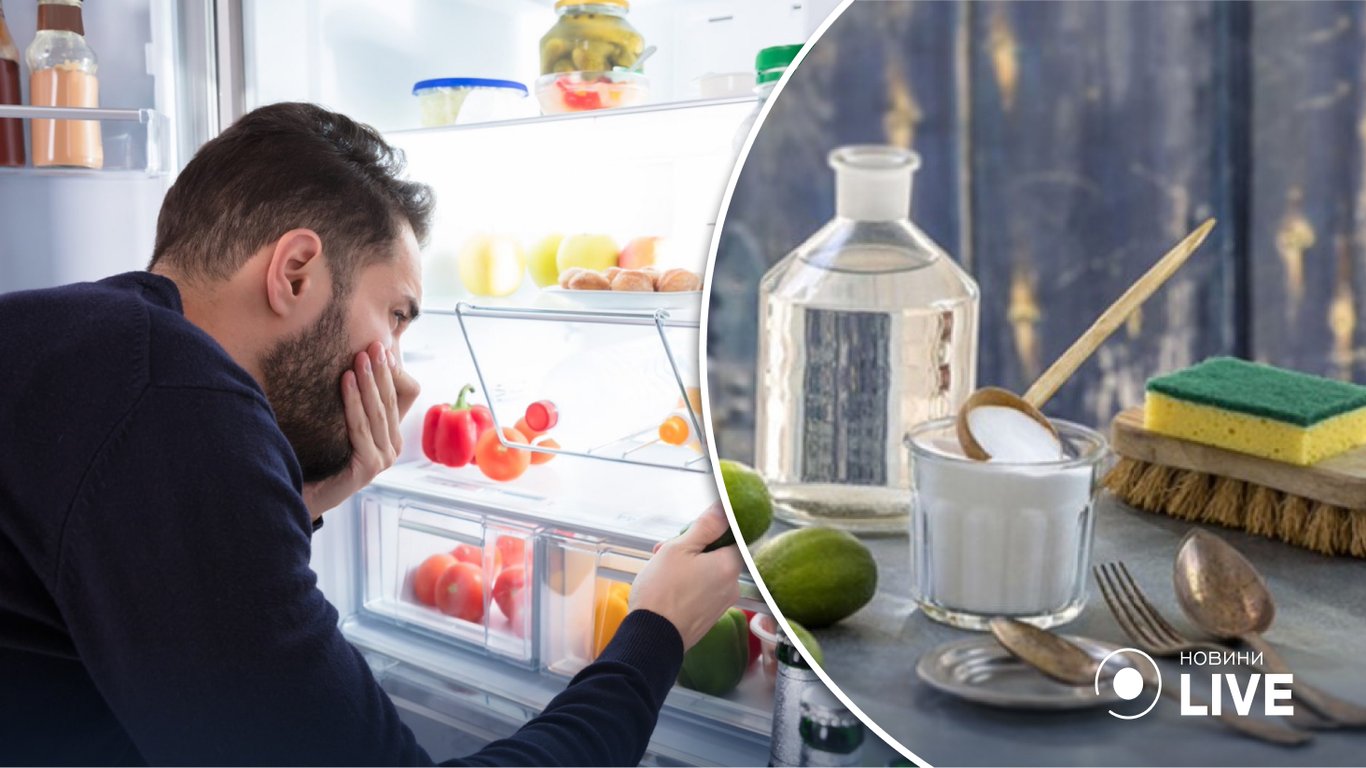 Как избавиться от запаха в холодильнике: проверенные методы