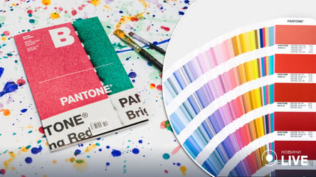 Інститут Pantone назвав головний колір 2023 року: подробиці - 285x160