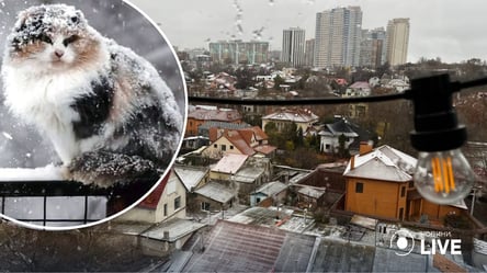 Мокрий сніг та ожеледиця: якою буде погода в Одесі та області 5 грудня - 285x160