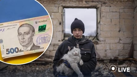 Українці можуть оформити допомогу у 2,2 тис. грн від Естонії: кого стосується - 285x160