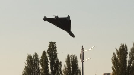 В Житомирской области ночью сбили российский дрон: в ОВА показали фото - 285x160