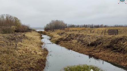 В Дунае зафиксировали подъем уровня воды после длительной засухи - 285x160