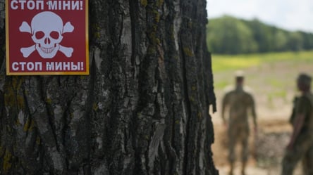 Пошли искать скот: в Харьковской области двое мужчин взорвались на вражеской мине - 285x160