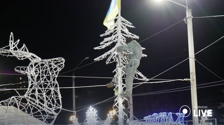Новорічний настрій у повітрі: в Одесі встановлюють новорічні ялинки - 285x160