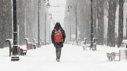 Дожди, снег и магнитные бури: какой будет погода в Украине на выходные - 285x160