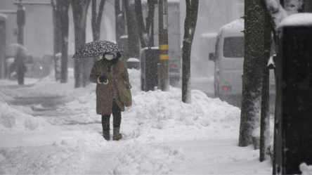 Сильный снегопад унес жизни более десятка жителей Японии, много травмированных - 285x160