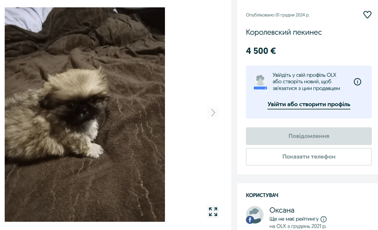 Элита среди хвостатых – какие породы собак дорого продают на OLX - фото 1