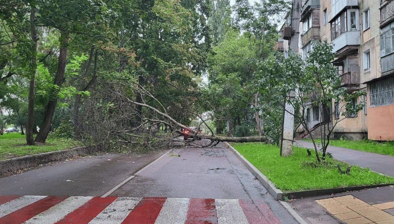Проїзд у деяких місцях ускладнено — в Одесі повалило дюжину дерев - фото 1