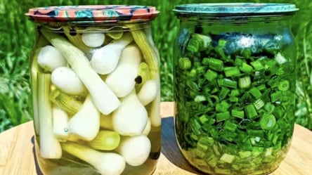 Зелена цибуля на зиму: виходить як свіжа, взимку можна не купувати - 285x160