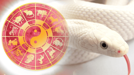 Восточный гороскоп для Змеи на 2026 год — что ожидать от Лошади - 285x160