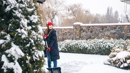 Зимовий догляд за садом і городом — поради на грудень - 285x160