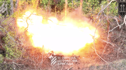 Українські військові показали ефектні удари по вогневих засобах окупантів - 285x160