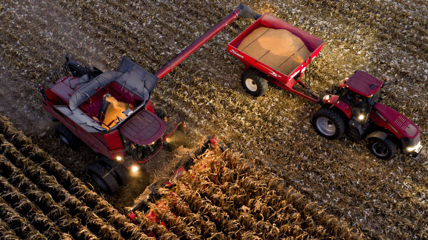 Цены на зерновые в Украине по состоянию на 1 марта 2024 года — сколько стоит кукуруза