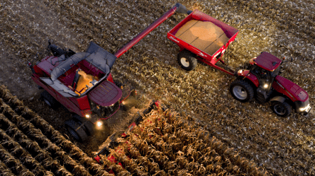Ціни на зерно в Україні — скільки коштує кукурудза на початку березня - 285x160