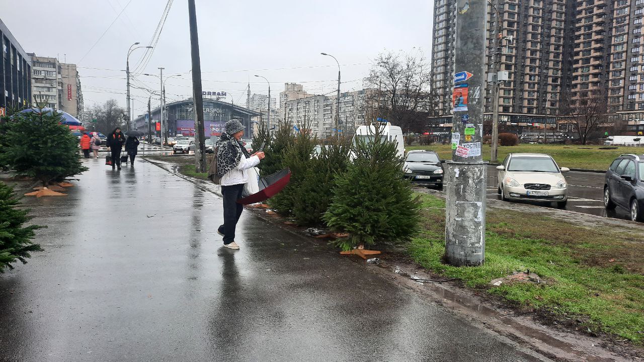 Ялинки в Києві