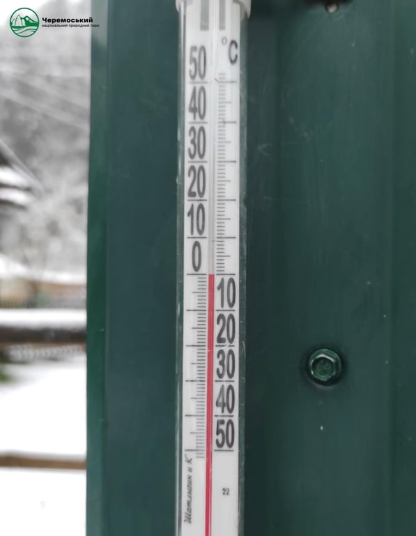 сніг на Буковині 17 квітня