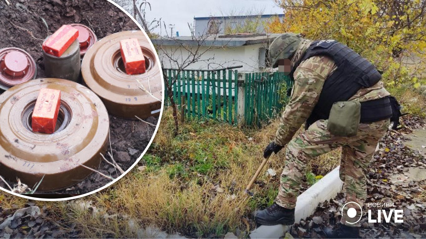 Прогулка по лесу: как не набрести на взрывной предмет