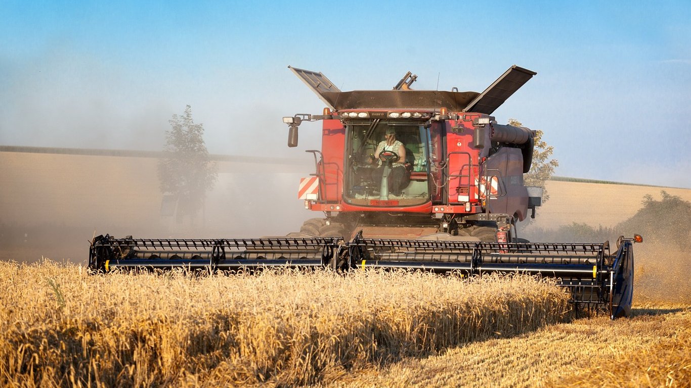 Цены на зерновые в Украине по состоянию на 20 октября 2023