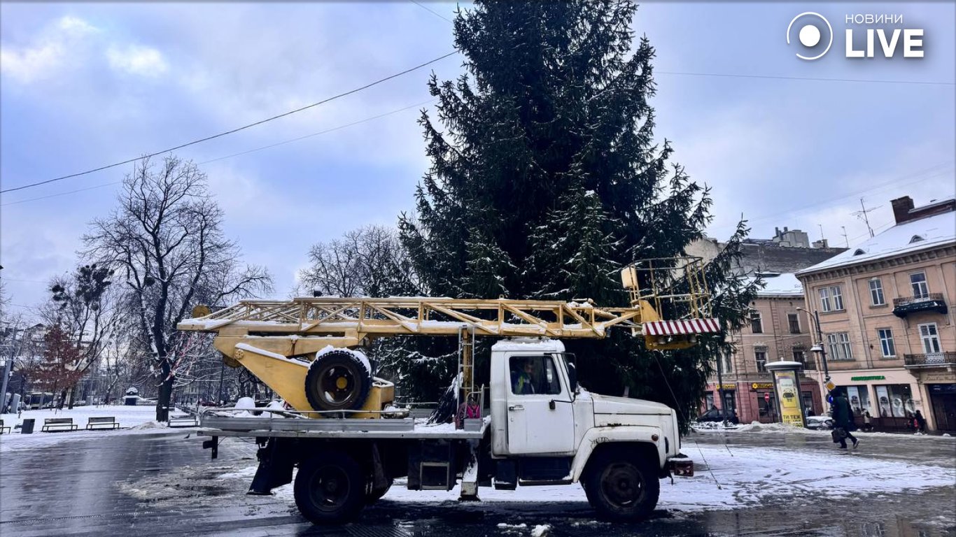 у Львові прибрали новорічну ялинку
