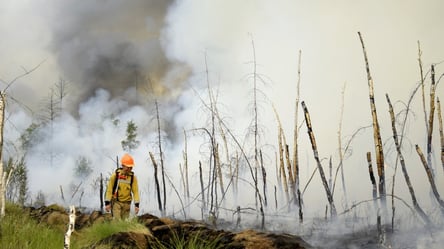 Экологическая катастрофа: в Якутии фиксируют одновременно почти 100 лесных пожаров - 285x160