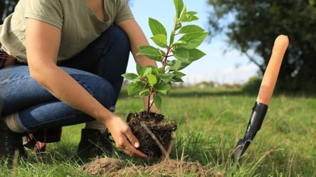 Сусіди побились через собаку та дитину — в хід пішла лопата - 285x160