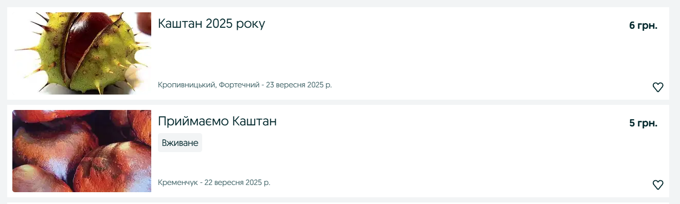 Деньги на каштанах — по чем принимают килограмм плодов в 2025 - фото 1