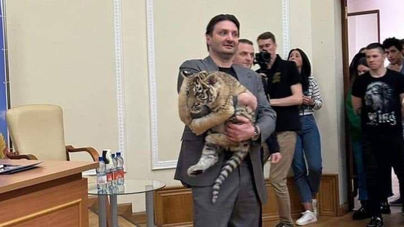 Оккупанты украли тигренка из Мариупольского зоопарка и отдали в русский цирк
