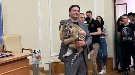 Окупанти вкрали тигреня з Маріупольського зоопарку і віддали в російський цирк - 285x160