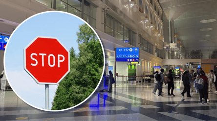 Испорченный отпуск: из-за этой популярной закуски вас не пустят в самолет - 285x160