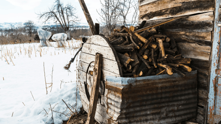 Сухостой на улице — можно ли рубить на дрова в 2026 году - 285x160