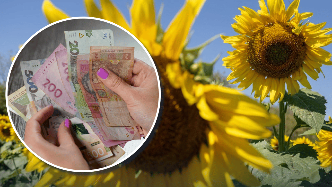 Цены на подсолнечник в апреле: что изменилось на украинском рынке