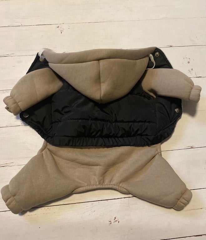 Одяг для собак на зиму — кому він дійсно потрібен - фото 3