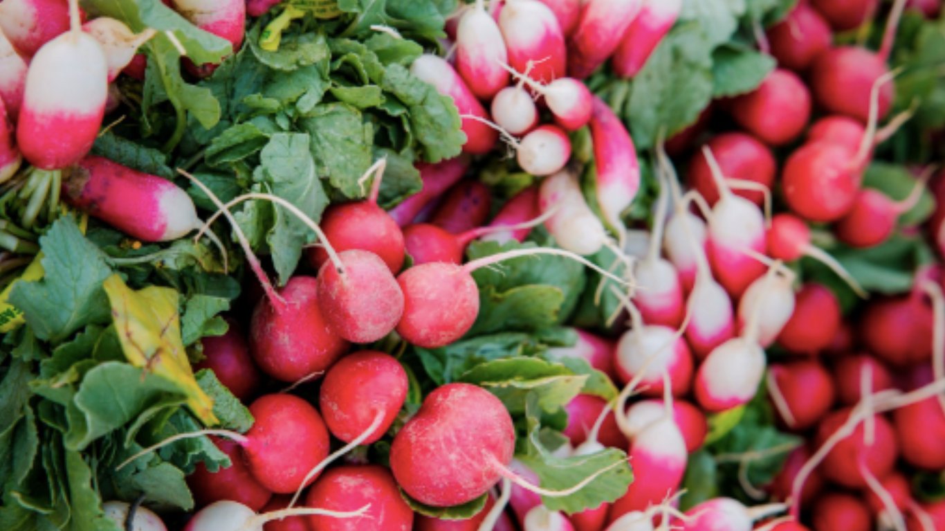 чим корисна редиска