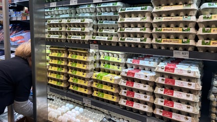 Яйца резко стали дороже — что будет с ценами до конца осени - 285x160