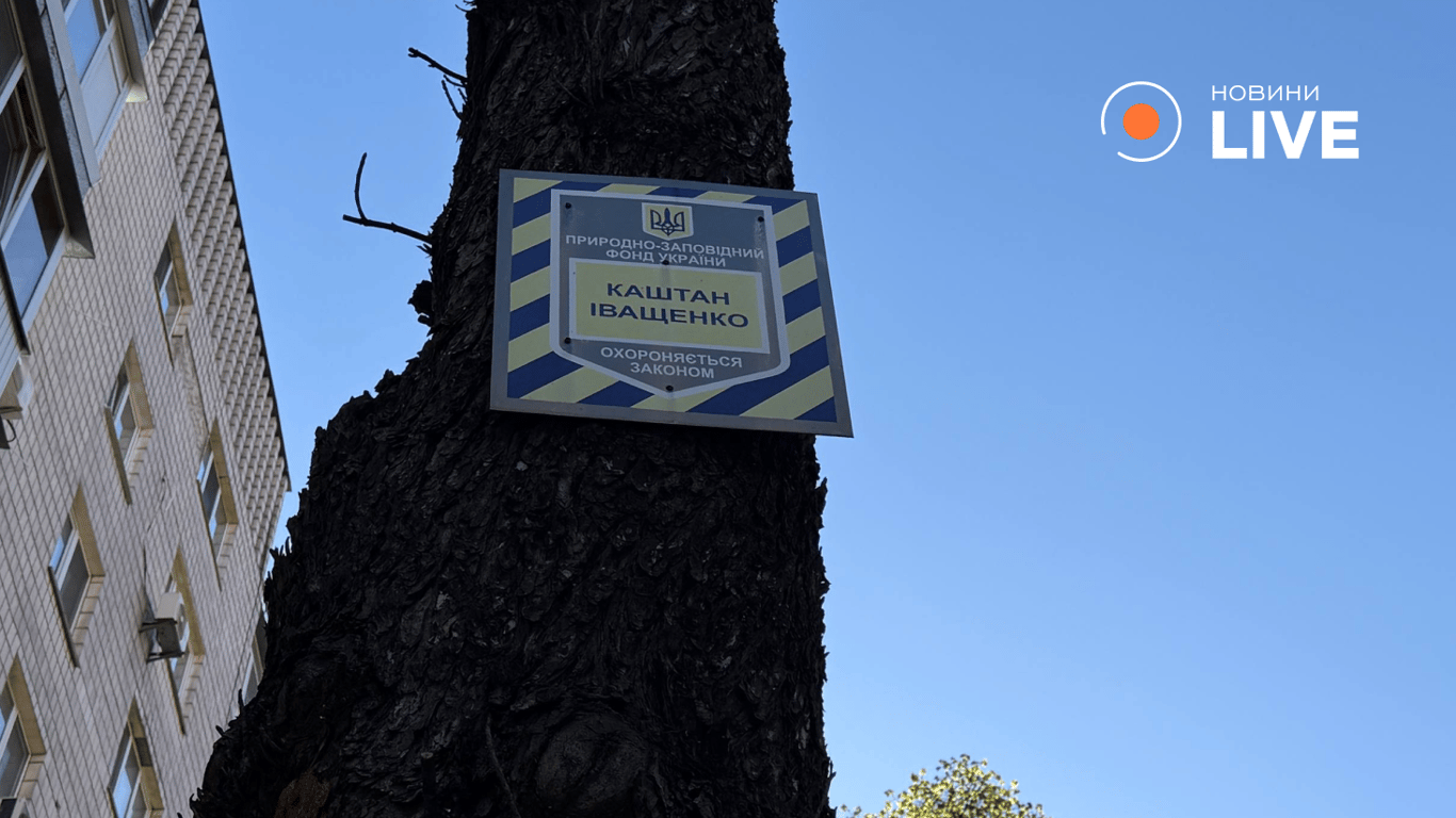 Каштан Іващенка поламався