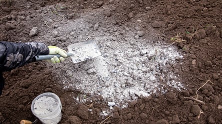 Две горсти спасают урожай — зимнее удобрение без химии - 285x160