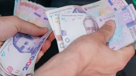 Денежная помощь от Германии: кто и где получит 12 300 грн осенью - 290x160
