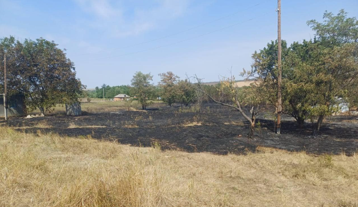 Сожгла землю в родном селе