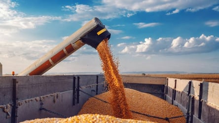 Переговори щодо відновлення "зернової ініціативи" можуть пройти у Туреччині - 285x160